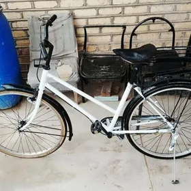 tigir 26lyk ýaponyski