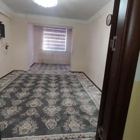 büzmeýin jaý tamatny