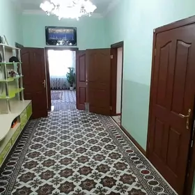 Anew plan satlyk jay