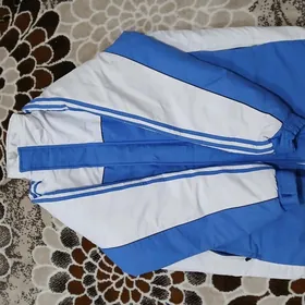 talyp kurtga arassa amatly