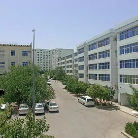 ARENDA JAY NAGINA 2 KOM