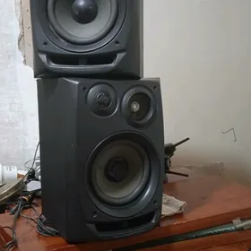 Айва колонки