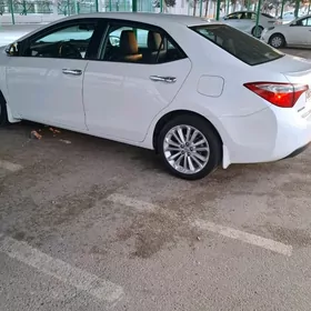 Toyota Corolla 2014