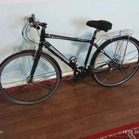 Tigir 27lik welik welsepit