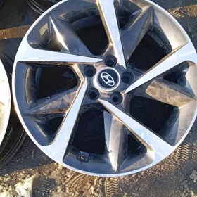 Dysga Hundaý Morda 19