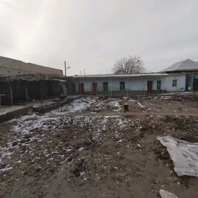 Satlyk amatly bahadan howly