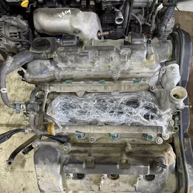 3 lik prostoy dogry rol