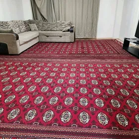 gurtly 2kom eyesinden