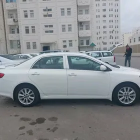 Toyota Corolla 2008