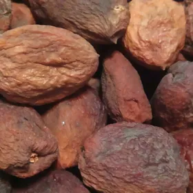 Сушеные урюки