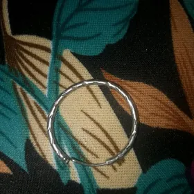 СЕРЁШКА СЕРЕБРО