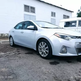 Toyota Corolla 2014