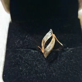 золотое кольцоСССР