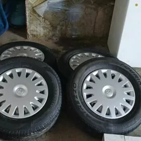 15 lk tuty kemri  tekeri