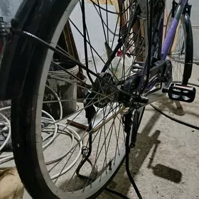 yapon tidir велосипед