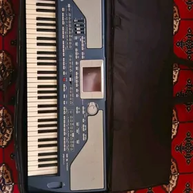 KORG PA 800