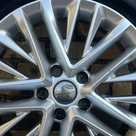 17 maşynyn ozininki