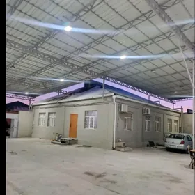 ️ coganly 7 sotak ️