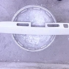 sienna bagaz plasmas