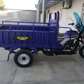 Fekon FK200-14G 2024