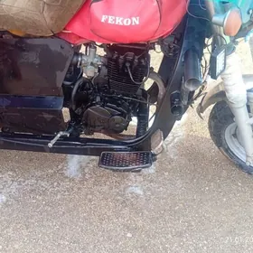 Fekon FK200-14G 2016