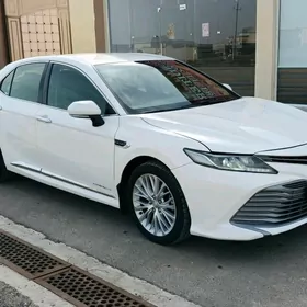 Toyota Camry 2019