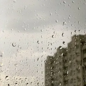 Свабода помещение