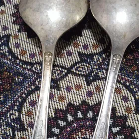 ady kümüş çemçe