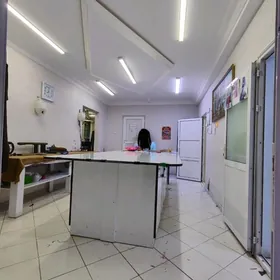 Satlyk Padwal Mir 2-de 