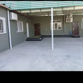 Arenda Hitrowka howly jay 