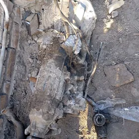 каропка амега