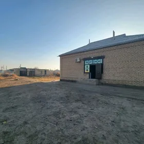  Satlyk Howly Gökje eýesi