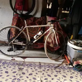 йпошка енилжек