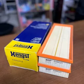 mers M272 howa filter hengst