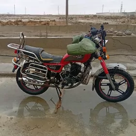 Fekon FK200-14G 2014