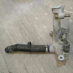 gorlawina горлавина