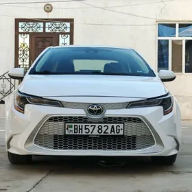 Toyota Corolla 2021