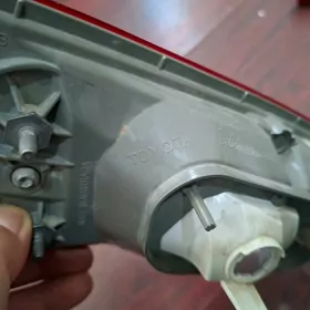 Palta kemriñ bagaždaky stopnig