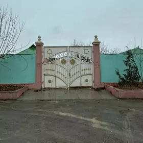 Shorgala satlyk jay  8 sotuk