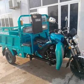 Fekon FK200-14G 2024