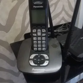 domasny oy telefonlary