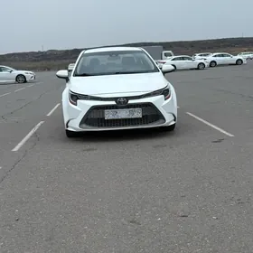 Toyota Corolla 2020