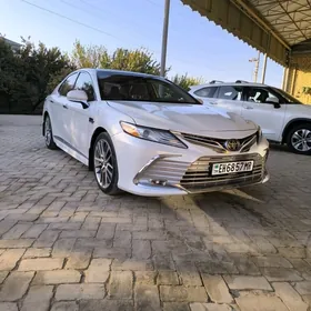 Toyota Camry 2020