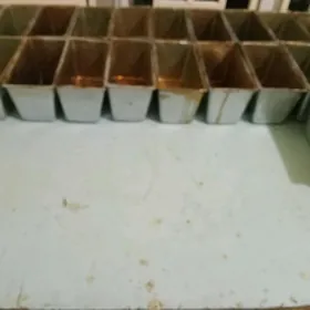 Ы́шкар герек