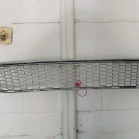 Сиенна 2010год решётка