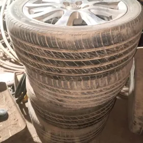 18 lik awiryon diska