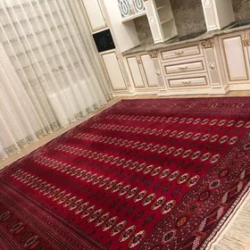 SATLYK ELITKA 14 TAPGYR