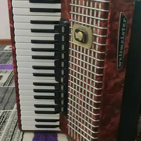 Akkordeon weltmeister