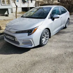 Toyota Corolla 2022