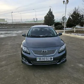 Toyota Corolla 2010